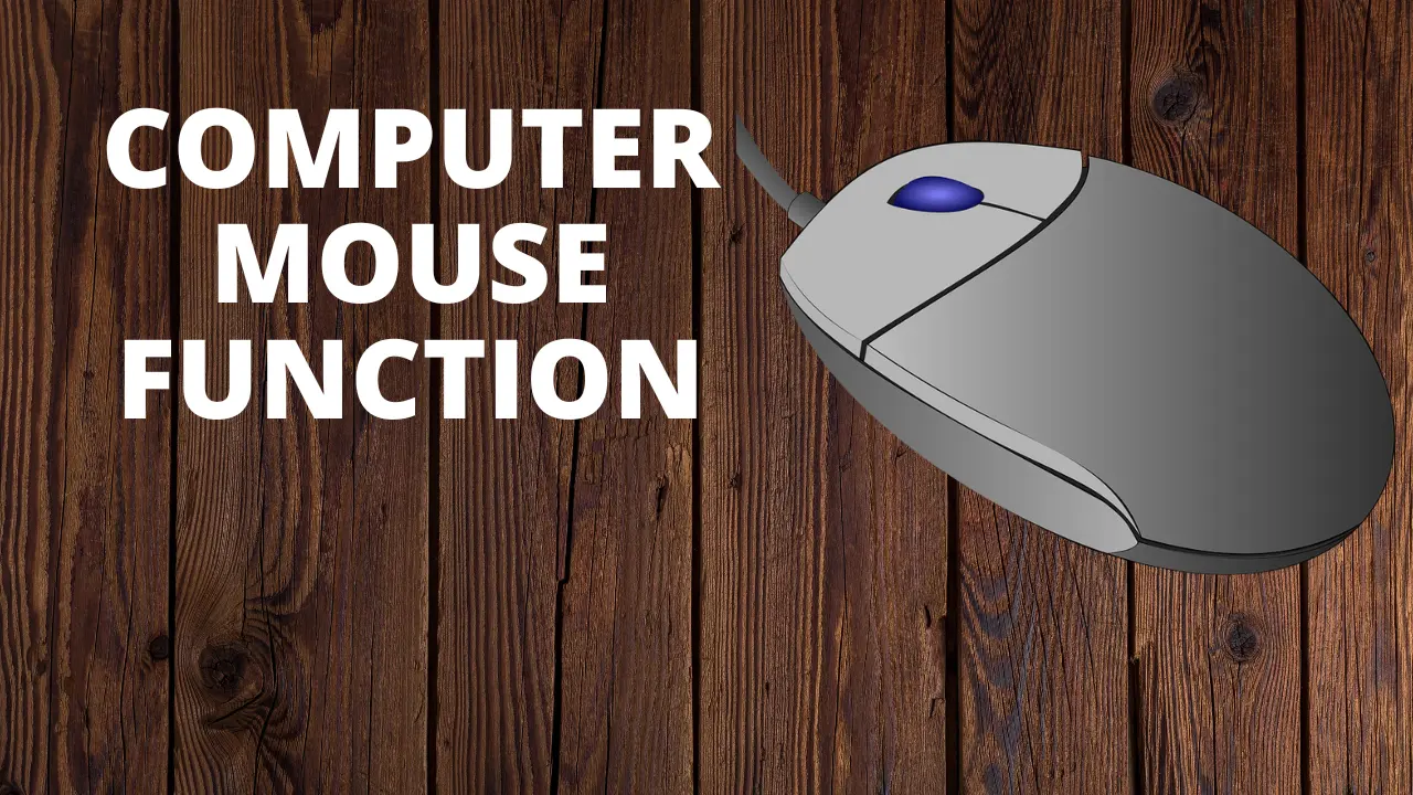 computer mouse function